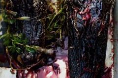 Recently caught alligators lie on the bottom of the boat as hunters search for more.